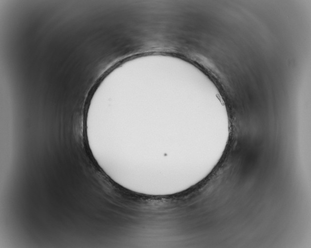 X0000096161220200802151408