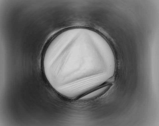 X0000096161222200802151408