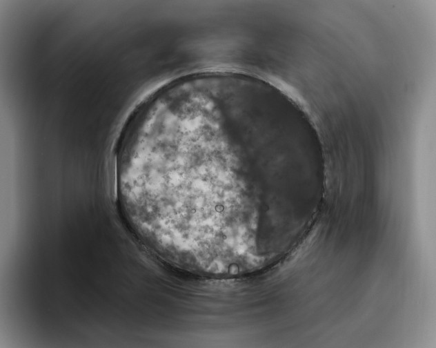 X0000096161223200802151408