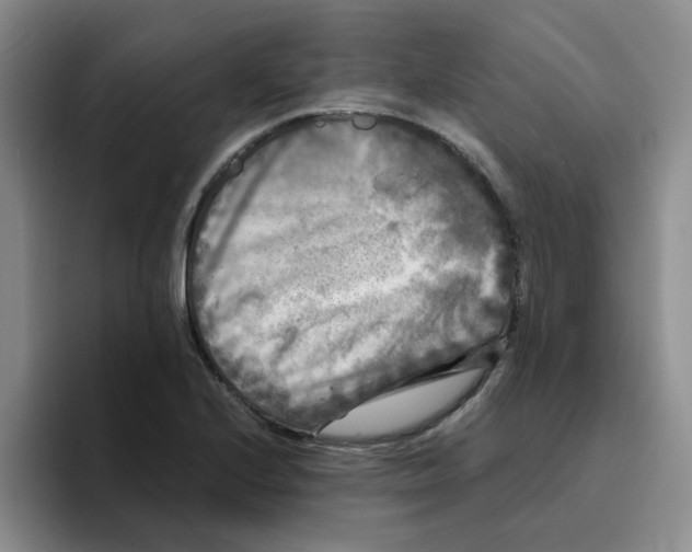 X0000096161224200802151408