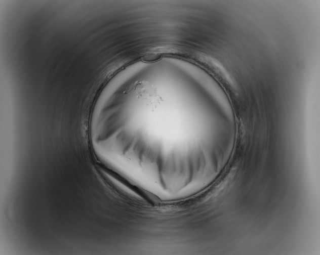 X0000096161225200802151408