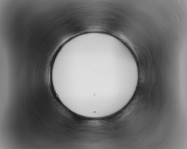 X0000096161227200802151408