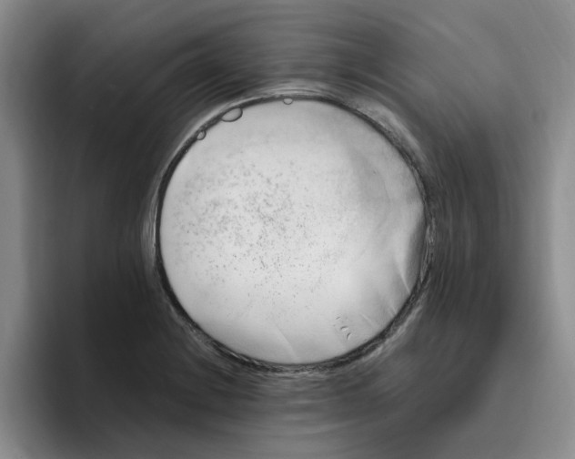 X0000096161228200802151408