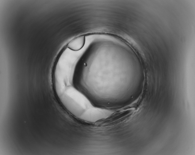 X0000096161230200802151408