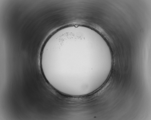 X0000096161232200802151408