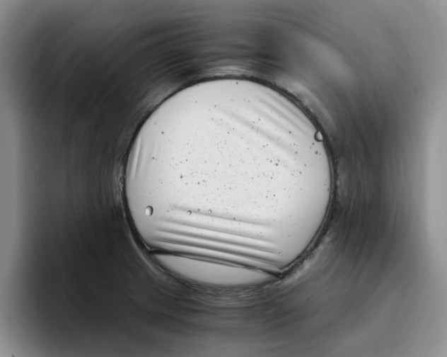 X0000096161233200802151408