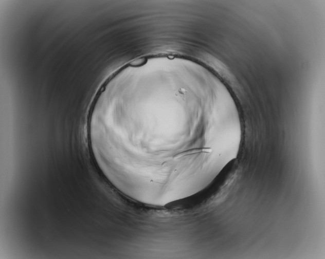 X0000096161234200802151408