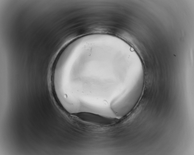 X0000096161235200802151408