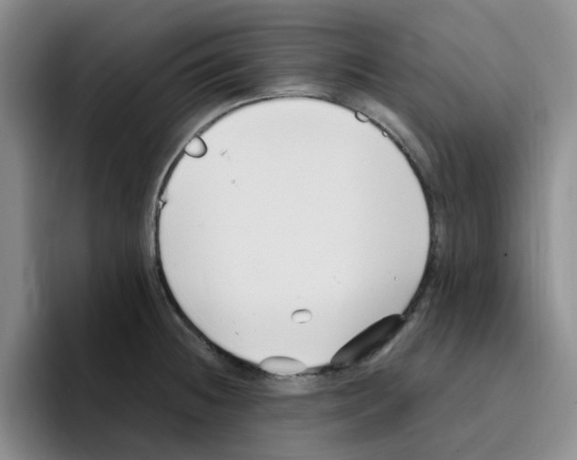 X0000096161236200802151408