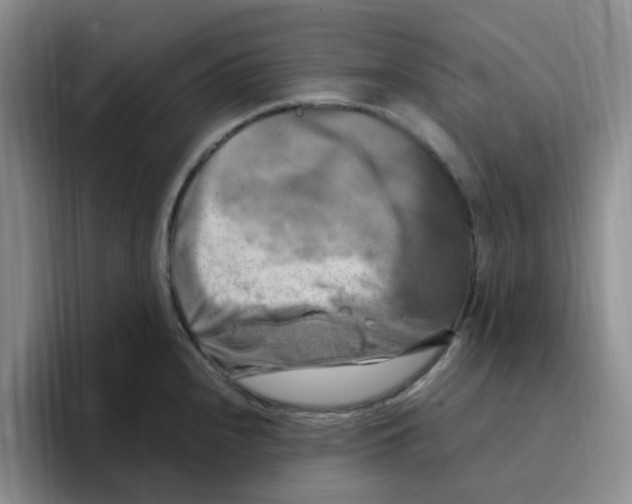 X0000096161240200802151408