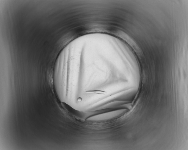 X0000096161241200802151408