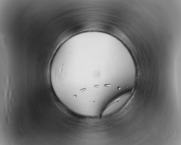 X0000096161242200802151408