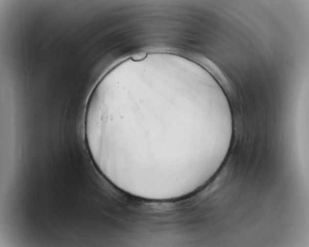 X0000096161244200802151408