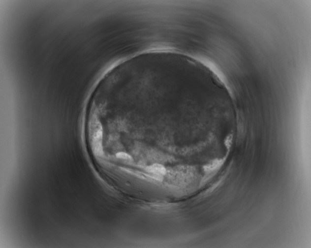 X0000096161245200802151408