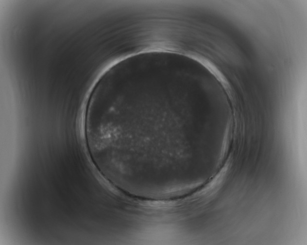 X0000096161246200802151408