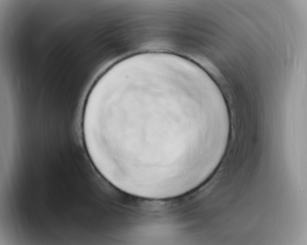 X0000096161248200802151408