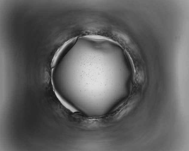 X0000096161253200802151408