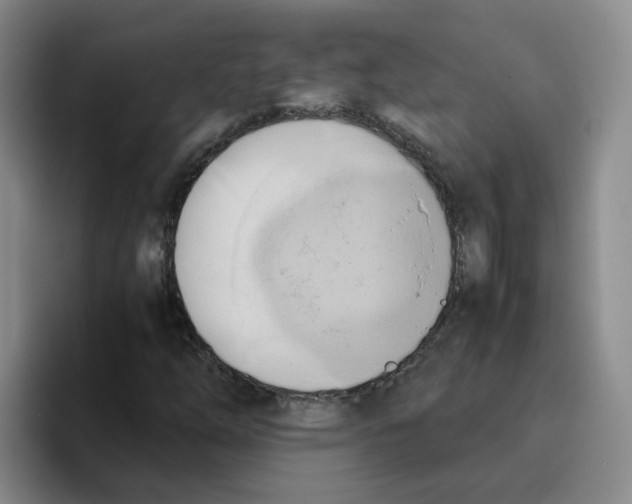 X0000096161254200802151408