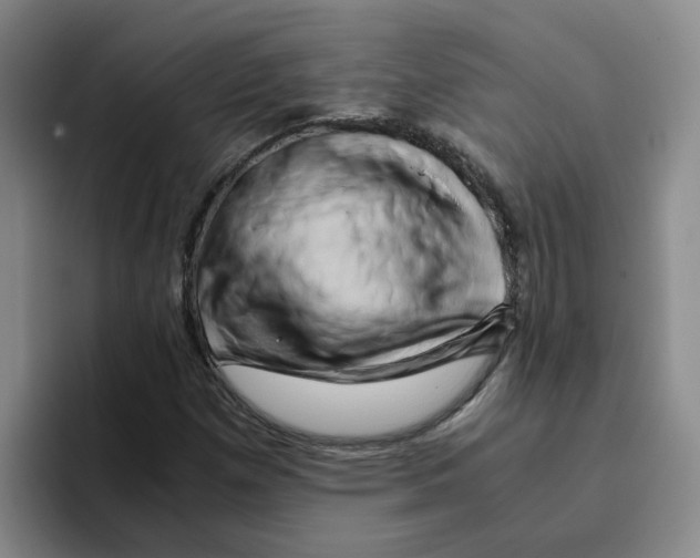 X0000096161257200802151408