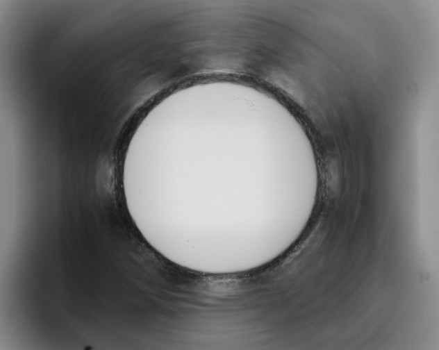 X0000096161258200802151408