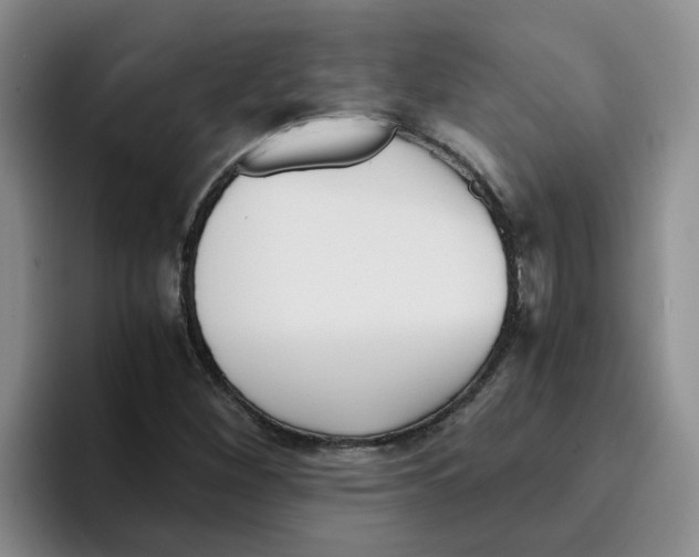 X0000096161260200802151408