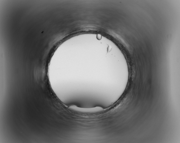 X0000096161261200802151408