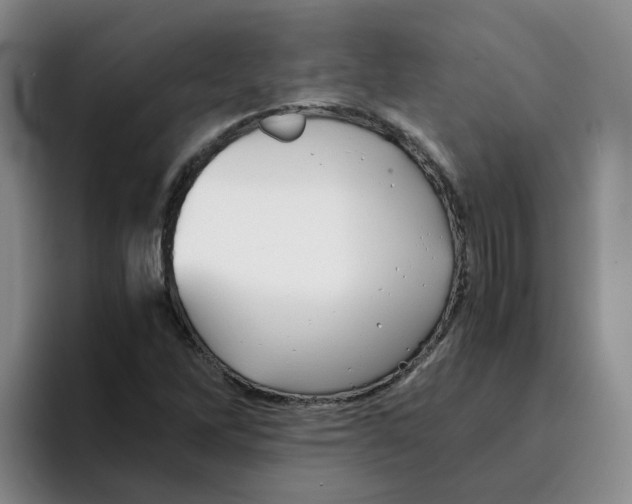 X0000096161262200802151407