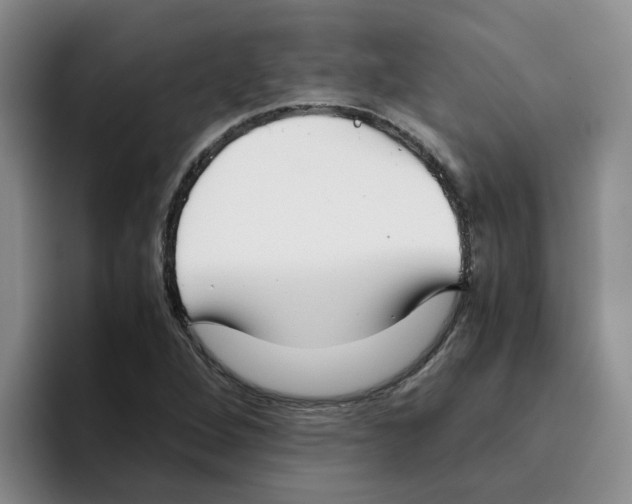 X0000096161264200802151407