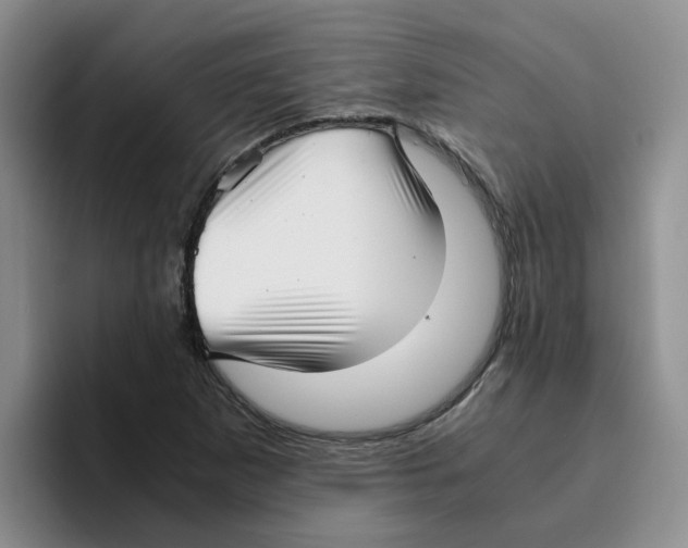 X0000096161265200802151407