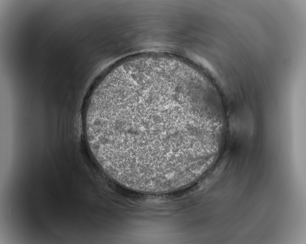 X0000096161267200802151407