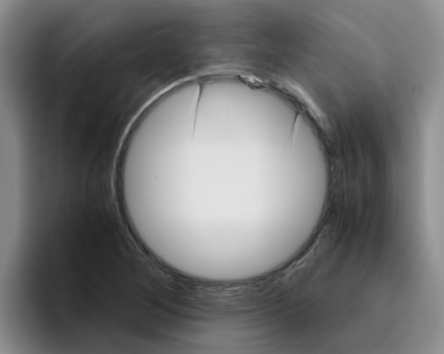 X0000096161268200802151407