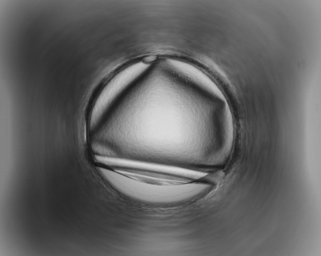 X0000096161269200802151407