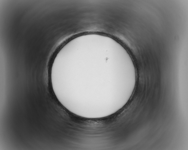 X0000096161270200802151407