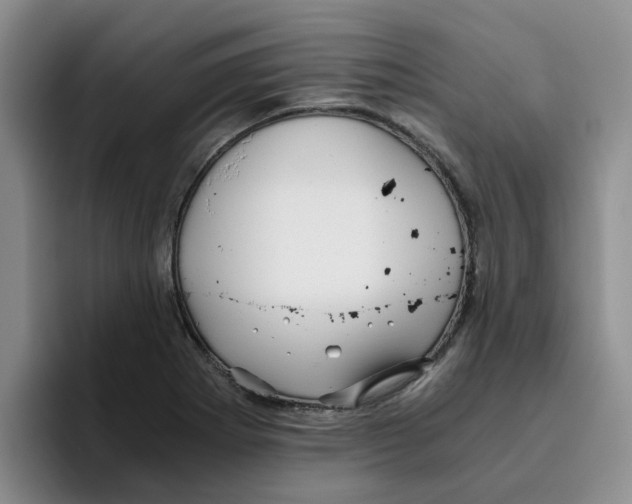 X0000096161273200802151407