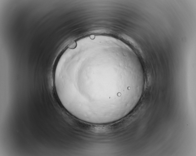 X0000096161274200802151407