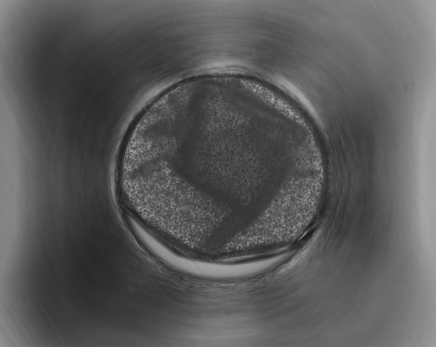 X0000096161277200802151407