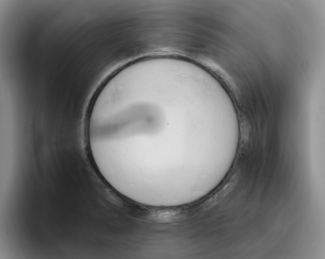 X0000096161278200802151407