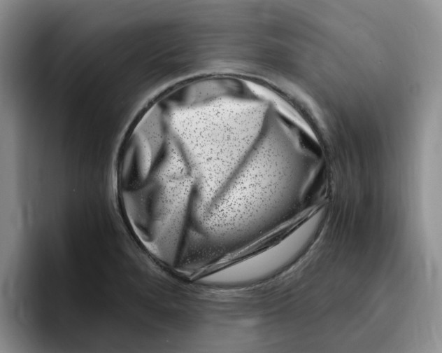 X0000096161280200802151407