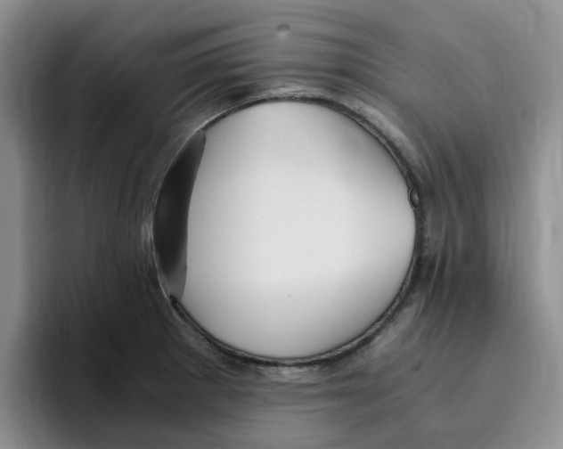 X0000096161281200802151407