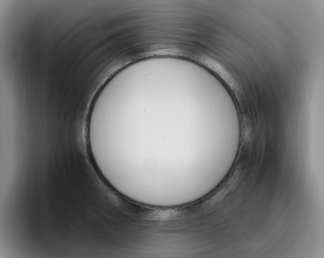 X0000096161282200802151407