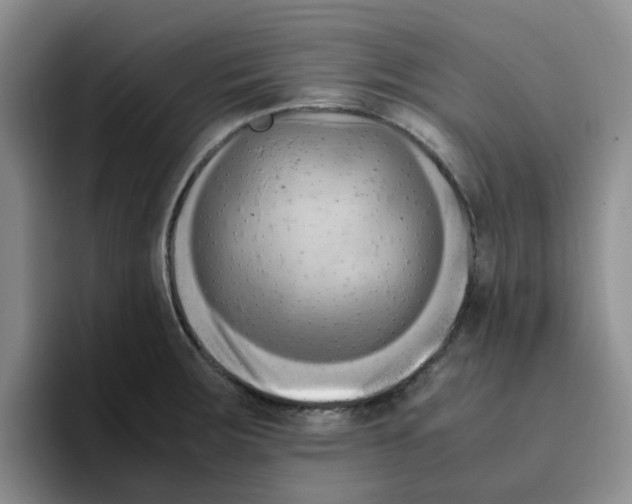 X0000096161283200802151407