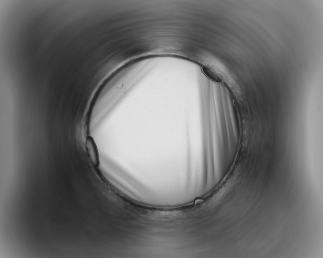 X0000096161284200802151407