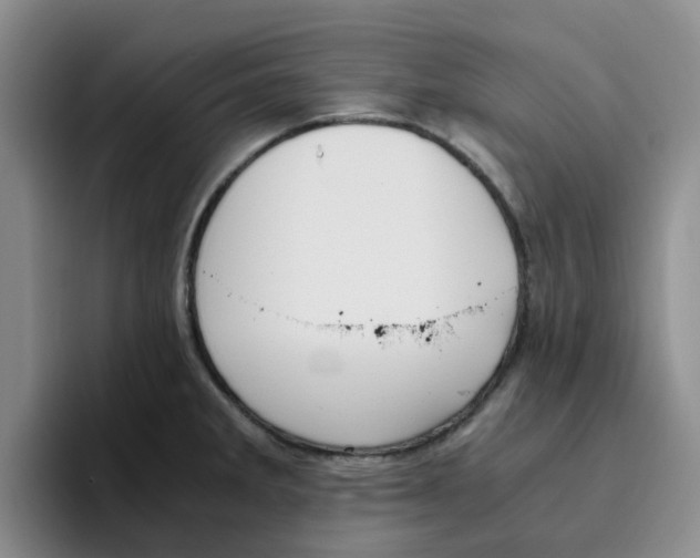 X0000096161285200802151407