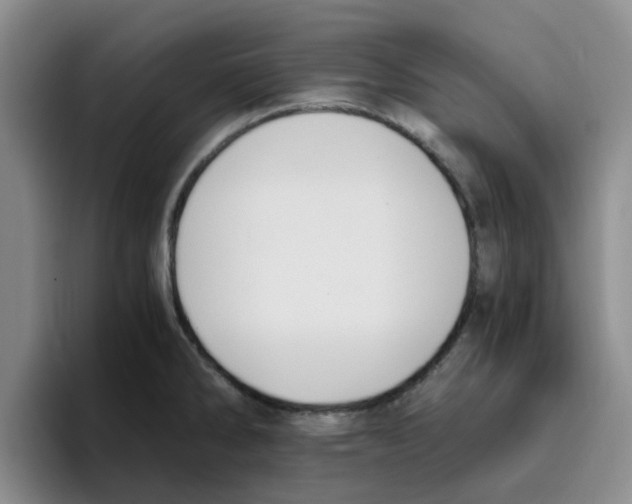 X0000096161286200802151407