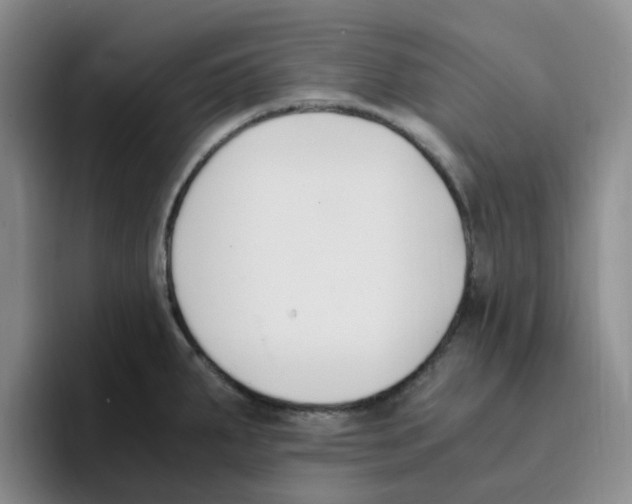 X0000096161287200802151407