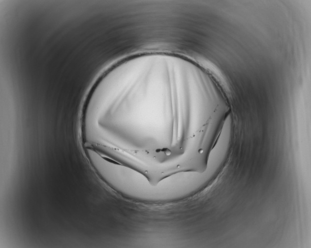 X0000096161288200802151407