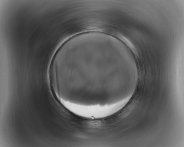 X0000096161291200802151407