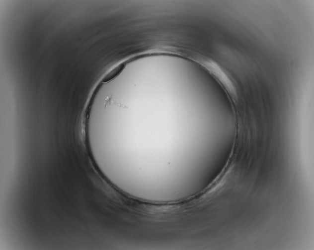 X0000096161292200802151407