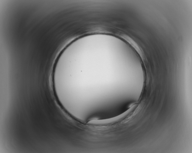 X0000096161293200802151407