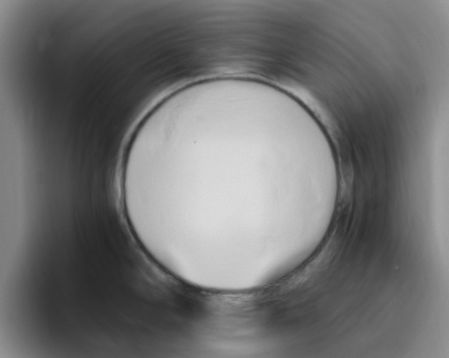 X0000096161294200802151407